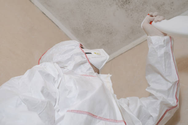 Best Mold Testing  in Arvin, CA