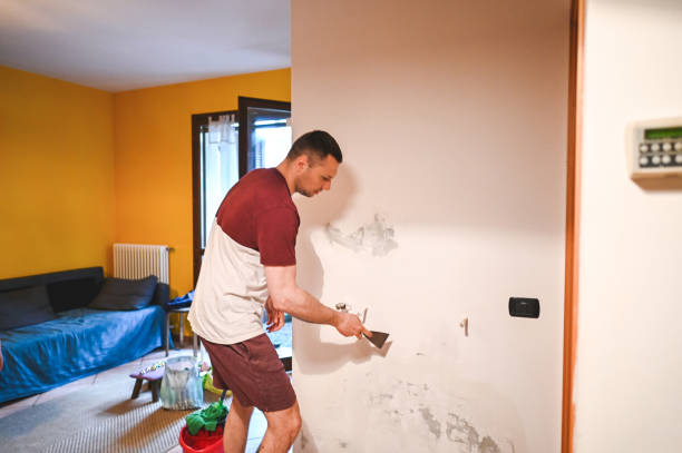 Best Black Mold Removal  in Arvin, CA